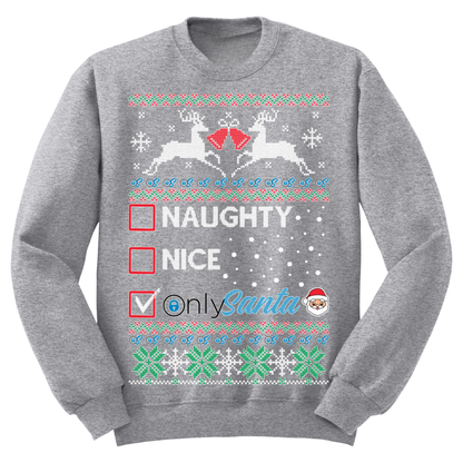 Ugly Christmas Sweater Naughty Nice Only Santa Claus